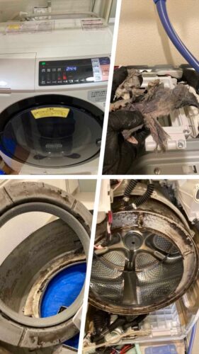 品川区ドラム式洗濯機分解クリーニング