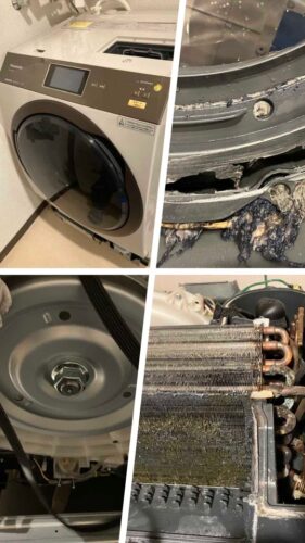 品川区ドラム式洗濯機分解クリーニング