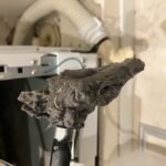 日立のドラム式洗濯機でC02のエラーが出て排水ができなかった原因のほこり