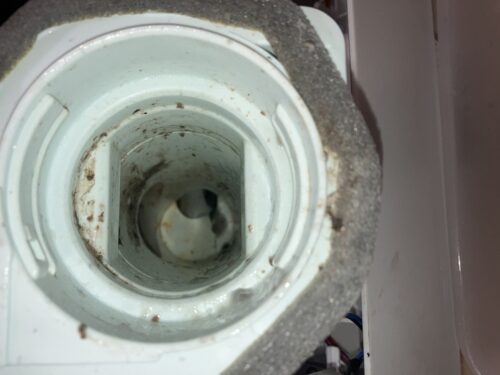 日立ドラム式洗濯機の内部の汚れ